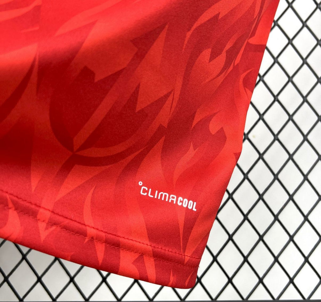 Maillot Belgique Domicile Coupe du Monde 2026