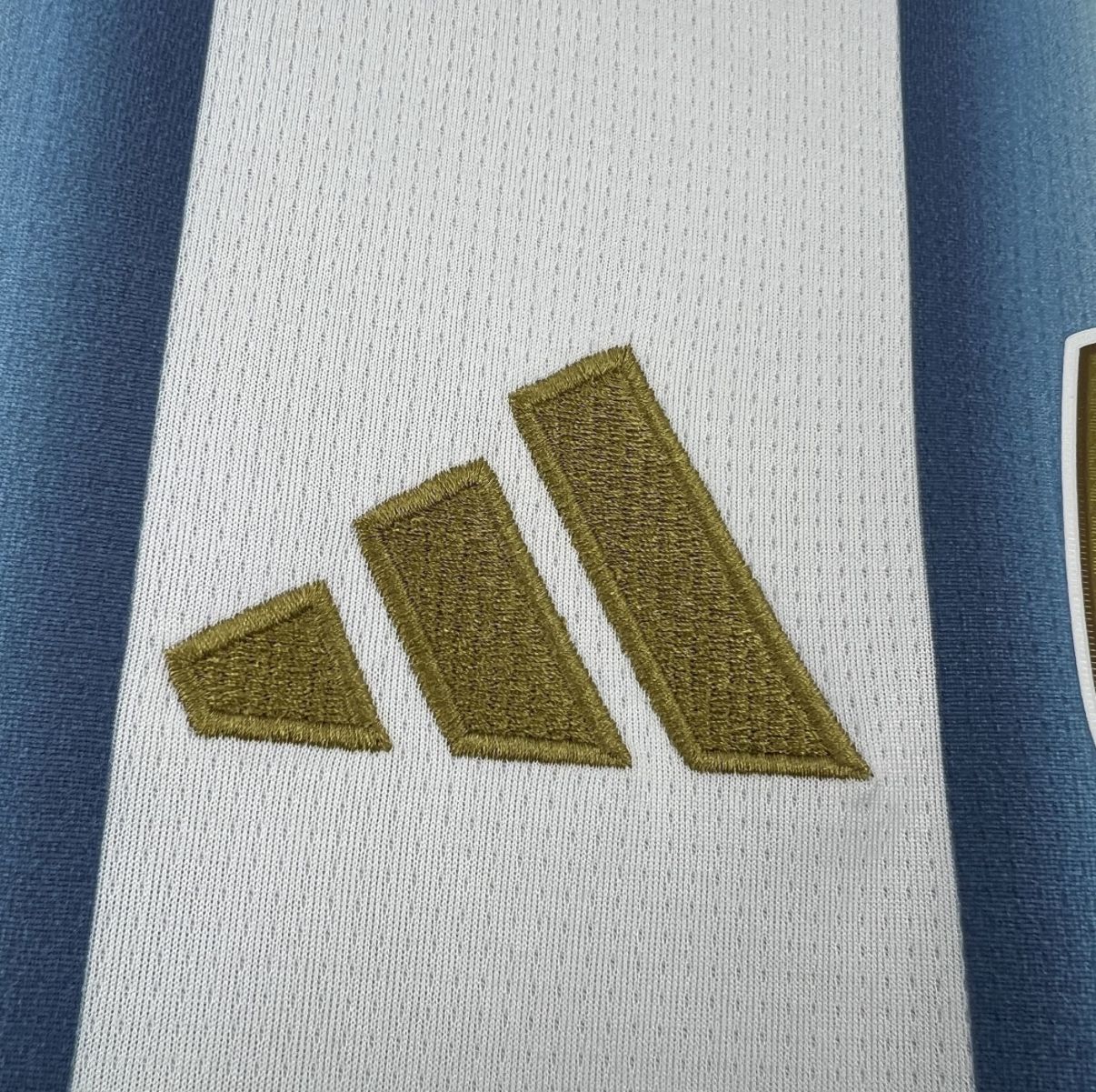 Maillot Argentine Domicile Coupe du Monde 2026