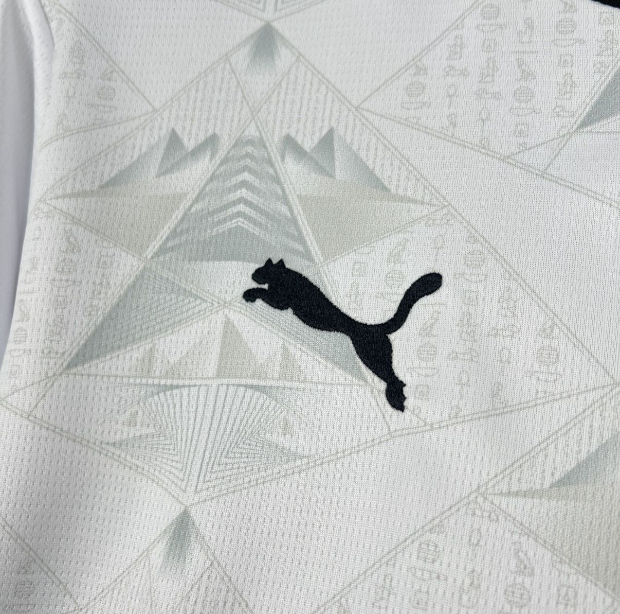 Maillot Égypte Extérieur Coupe du Monde 2026