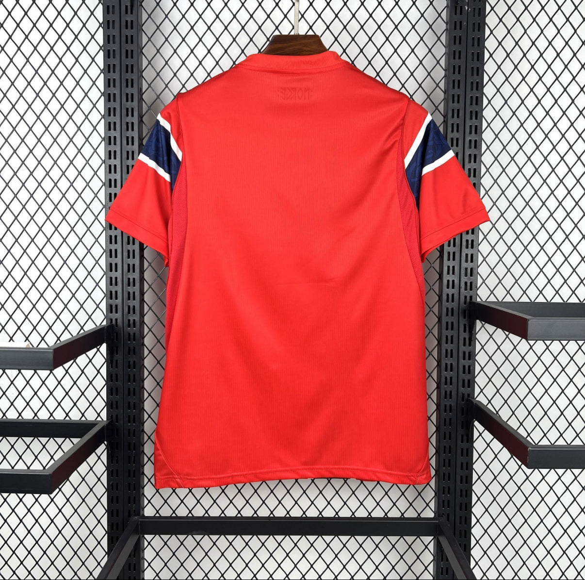 Maillot Norvège Domicile Coupe du Monde 2026