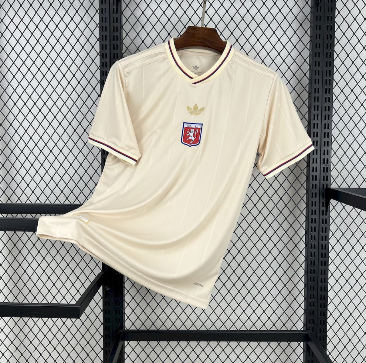 Maillot Olympique Lyonnais 75ème Anniversaire