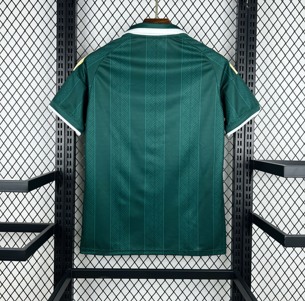 Maillot Afrique du Sud Extérieur Coupe du Monde 2026