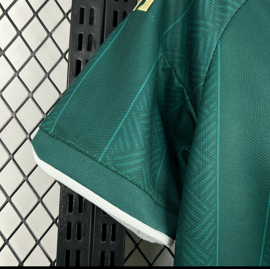 Maillot Afrique du Sud Extérieur Coupe du Monde 2026